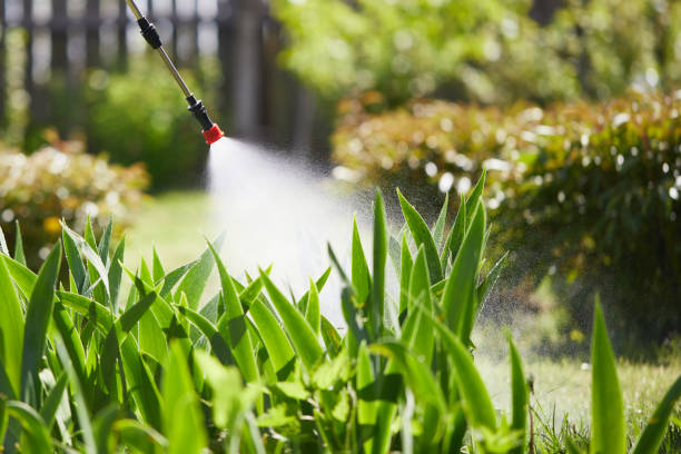 24/7 Emergency Mosquito Control experts in Carthage, TX