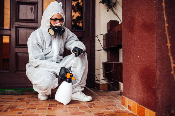 Reliable Mosquito Control contractor in Carthage, TX by Show Me Pest Control